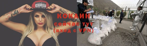 спайс Кодинск